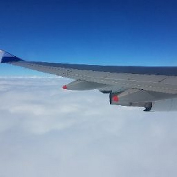 Meet your Posher, Kinsey - Picture 1 of 1